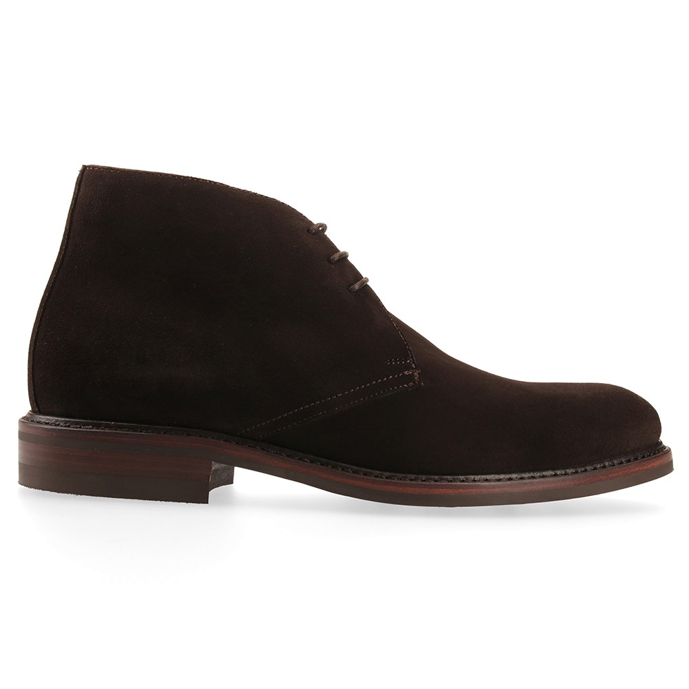 Berwick 1707 320-K4 SUPERBUCK CAFÉ Liquidación