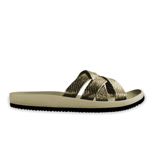 Brasileras Bucla Dorado Rebajas top