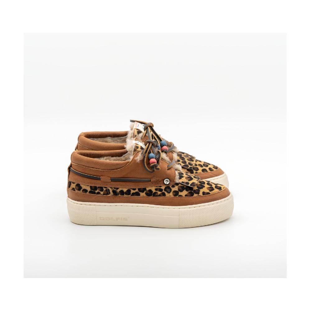 Dolfie MOE F 1 - LEOPARD