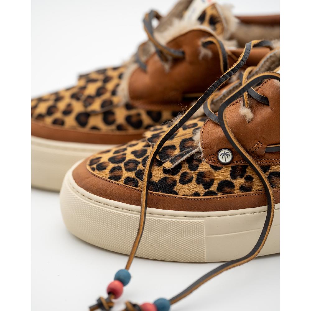 Dolfie MOE F 1 - LEOPARD Promoción trimestral
