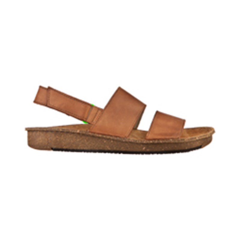 El naturalista ND42 CONTRADICION Venta caliente