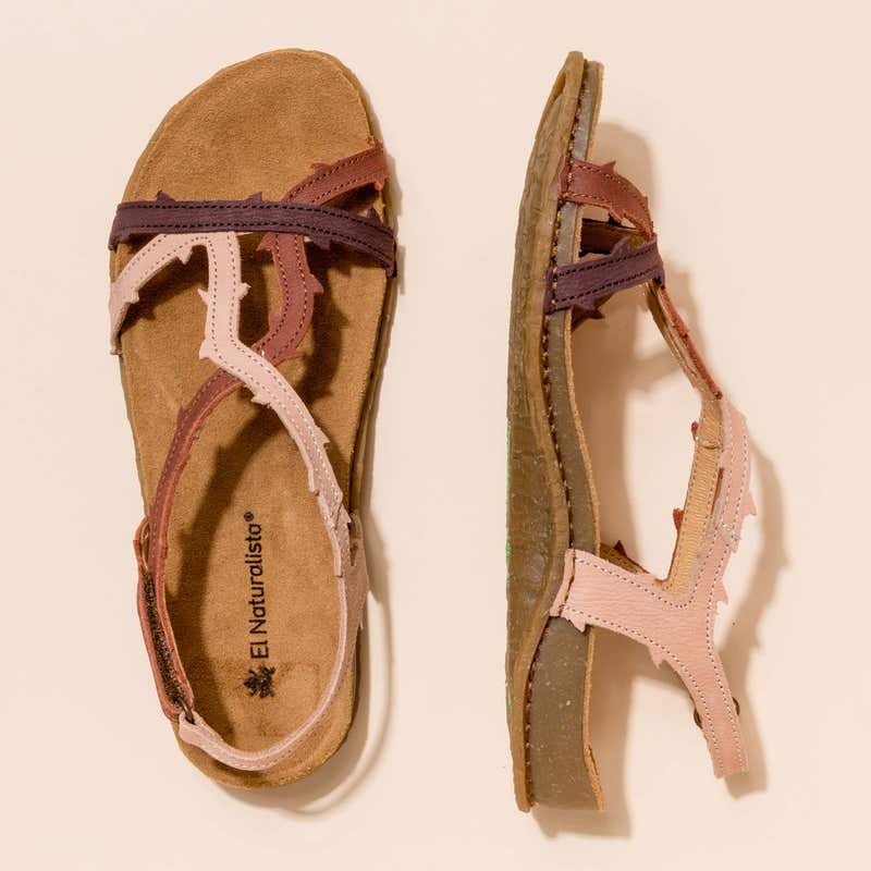 El naturalista 5815 PANGLAO En oferta