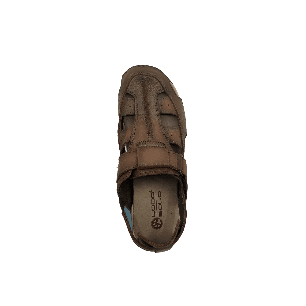 lobo solo 1943-IXTAPA Envío internacional gratuito