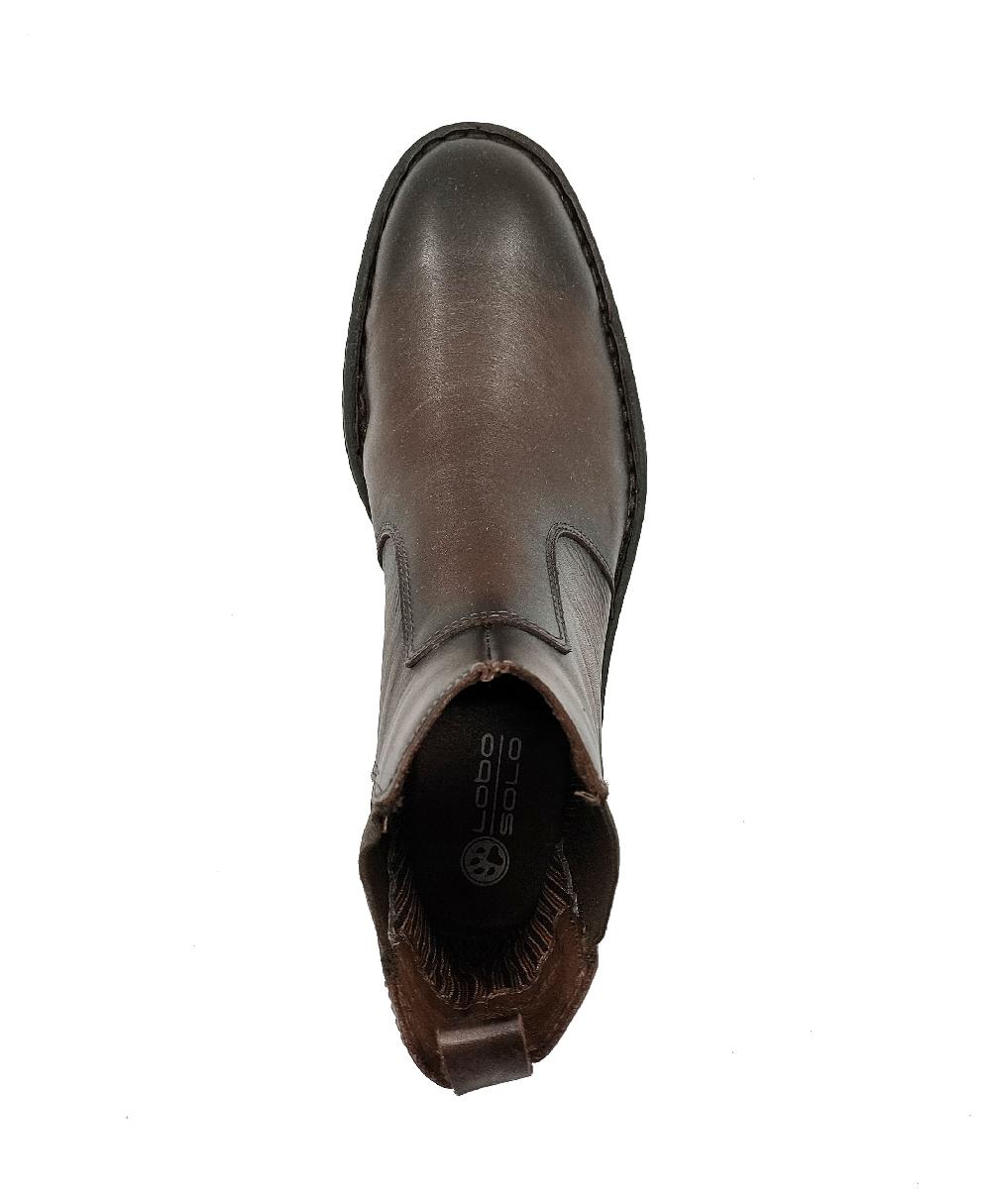 lobo solo 7949 BRUNO Venta caliente