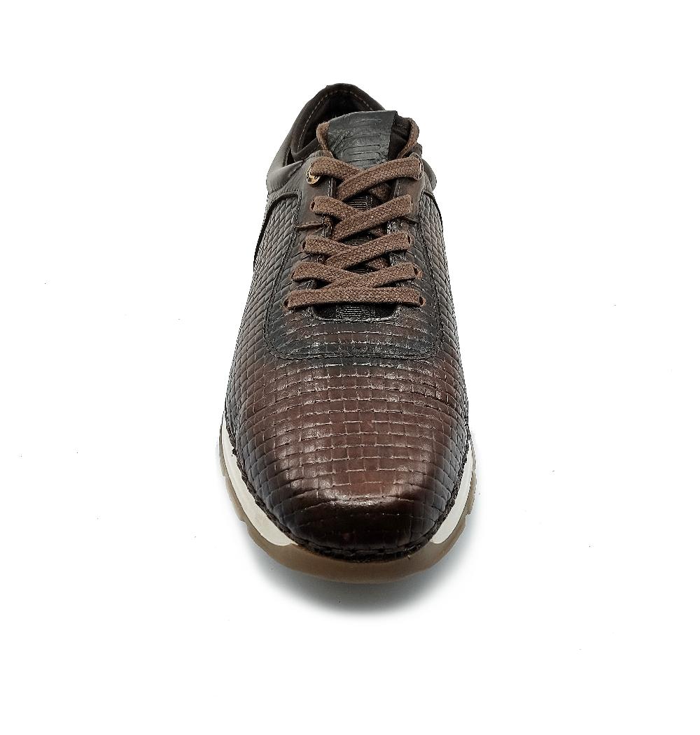 lobo solo CHOCLO CABALLERO 9751 ECLIPSE COMPRAR AHORA