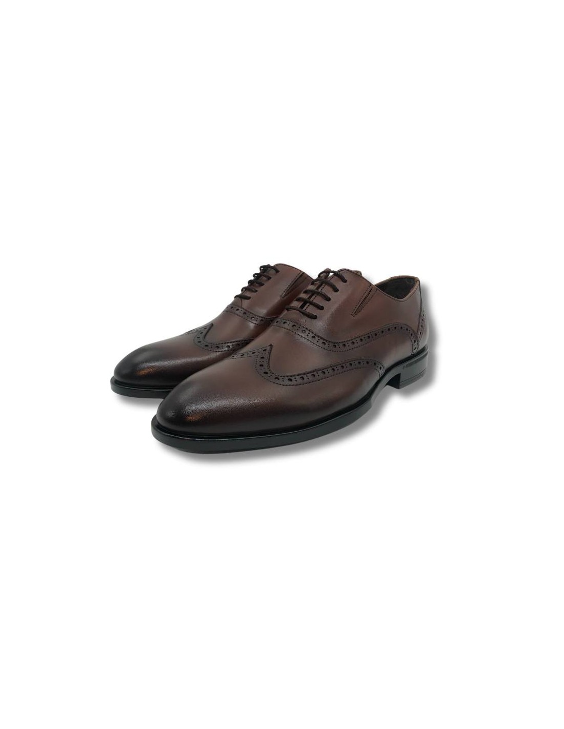 ortiz & reed Oxford de piel con cordón color cuero Solo queda un día