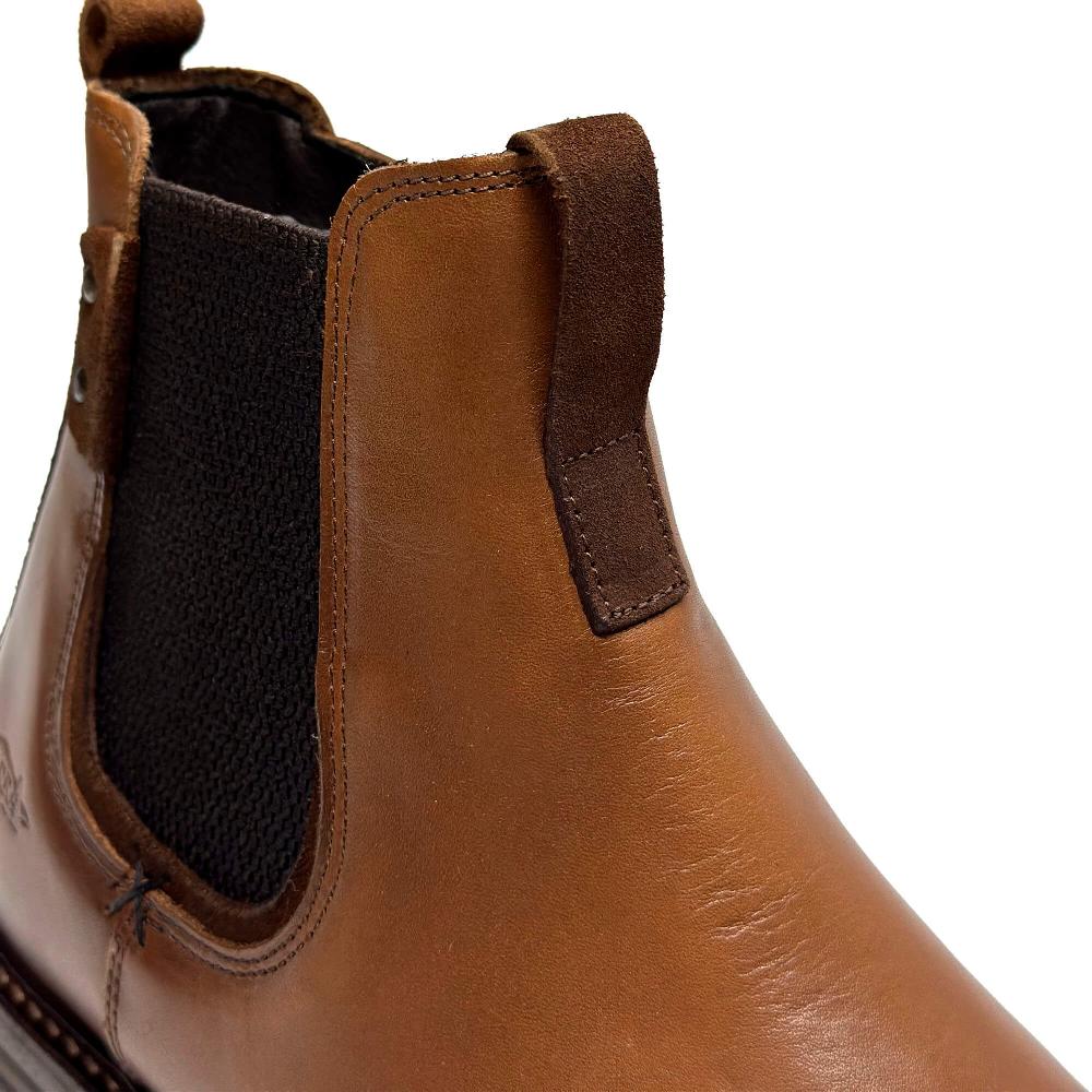 segarra Gael cognac