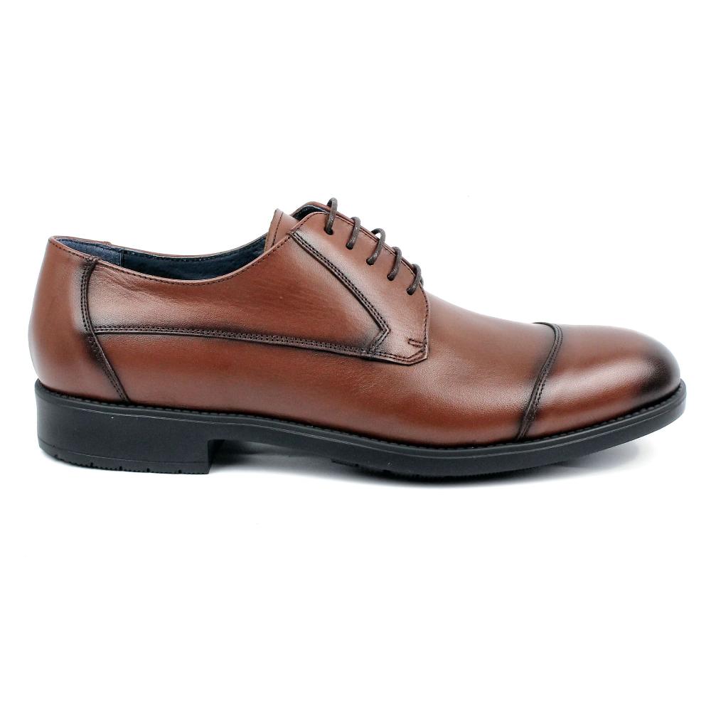 segarra Halley brandy Descuento