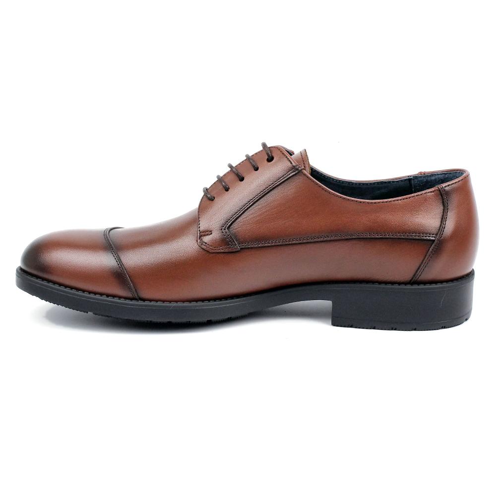 segarra Halley brandy Descuento