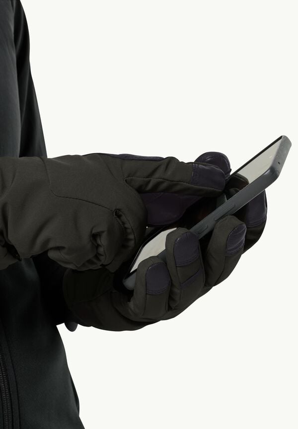 Jack Wolfskin Alpspitze Merino Glove Oferta especial