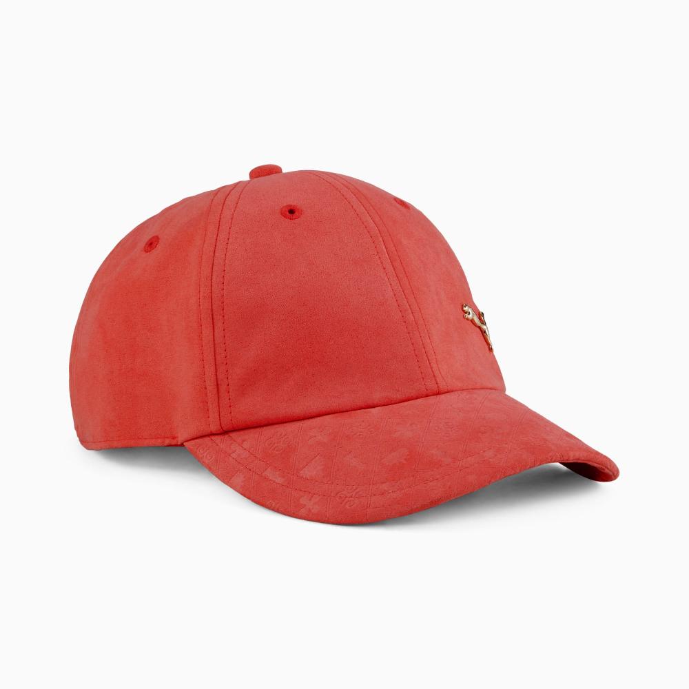 Puma Gorra de béisbol Road To Unity